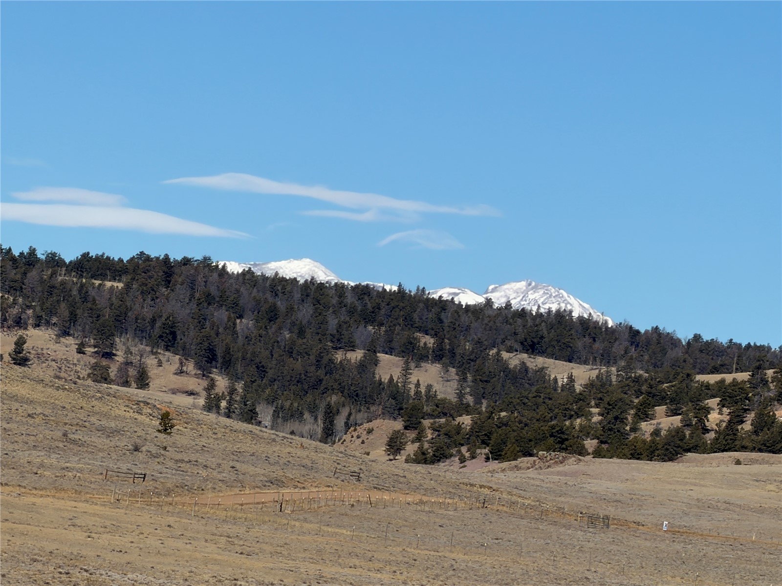 66 Wagon Wheel Road Hartsel, CO 80449 - Photo 15 of 17