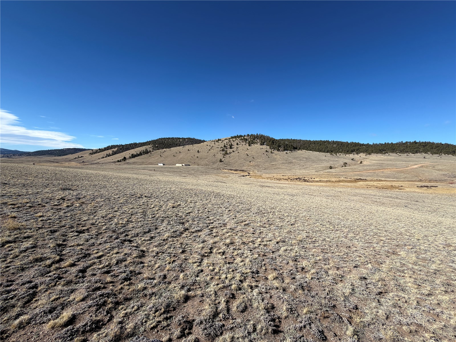 66 Wagon Wheel Road Hartsel, CO 80449 - Photo 2 of 17