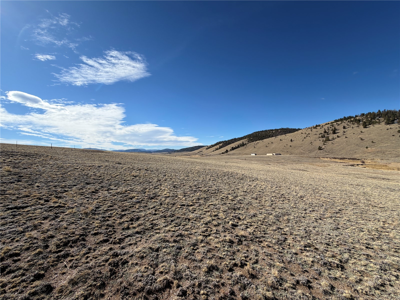 66 Wagon Wheel Road Hartsel, CO 80449 - Photo 3 of 17