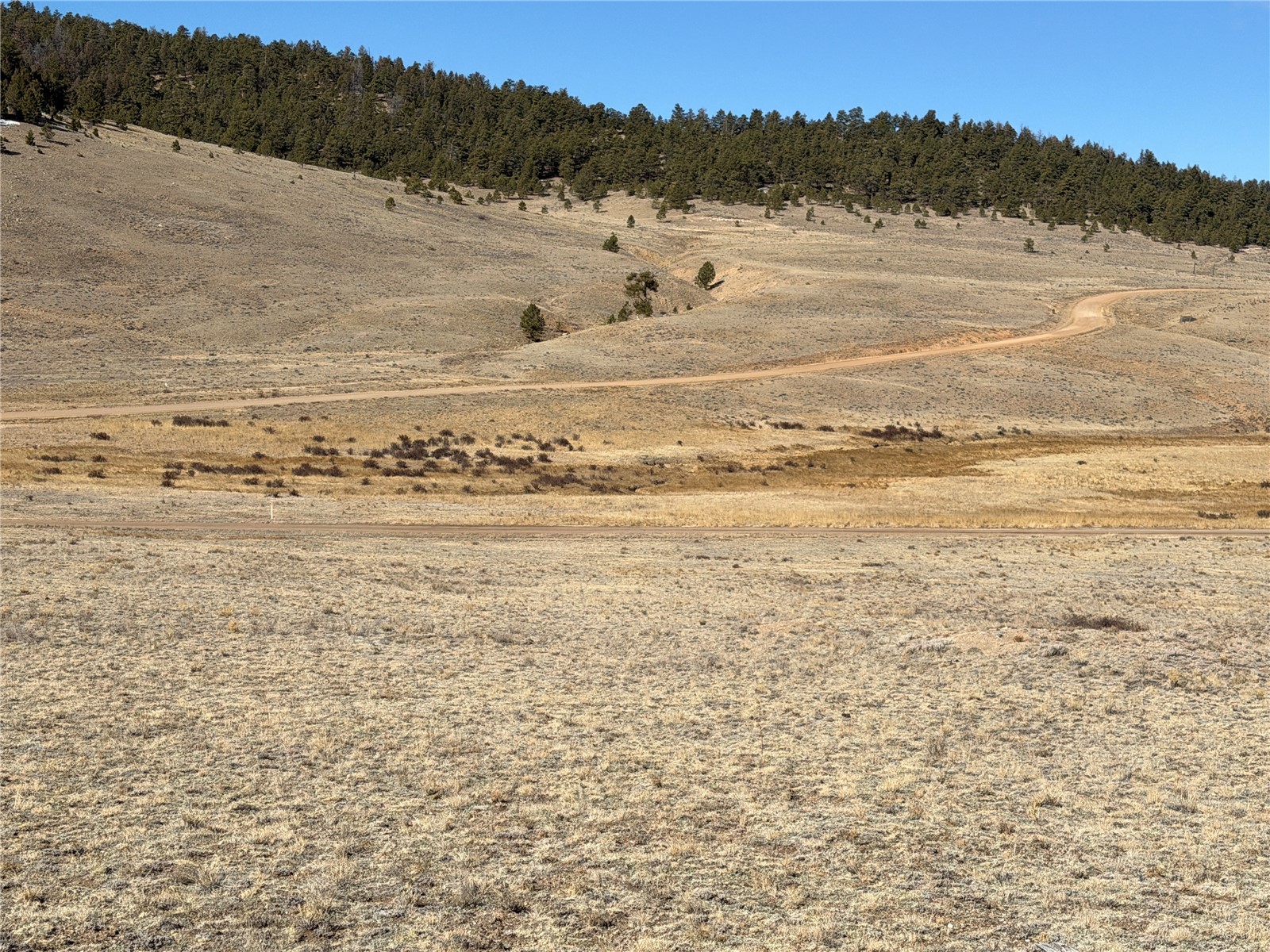 66 Wagon Wheel Road Hartsel, CO 80449 - Photo 5 of 17