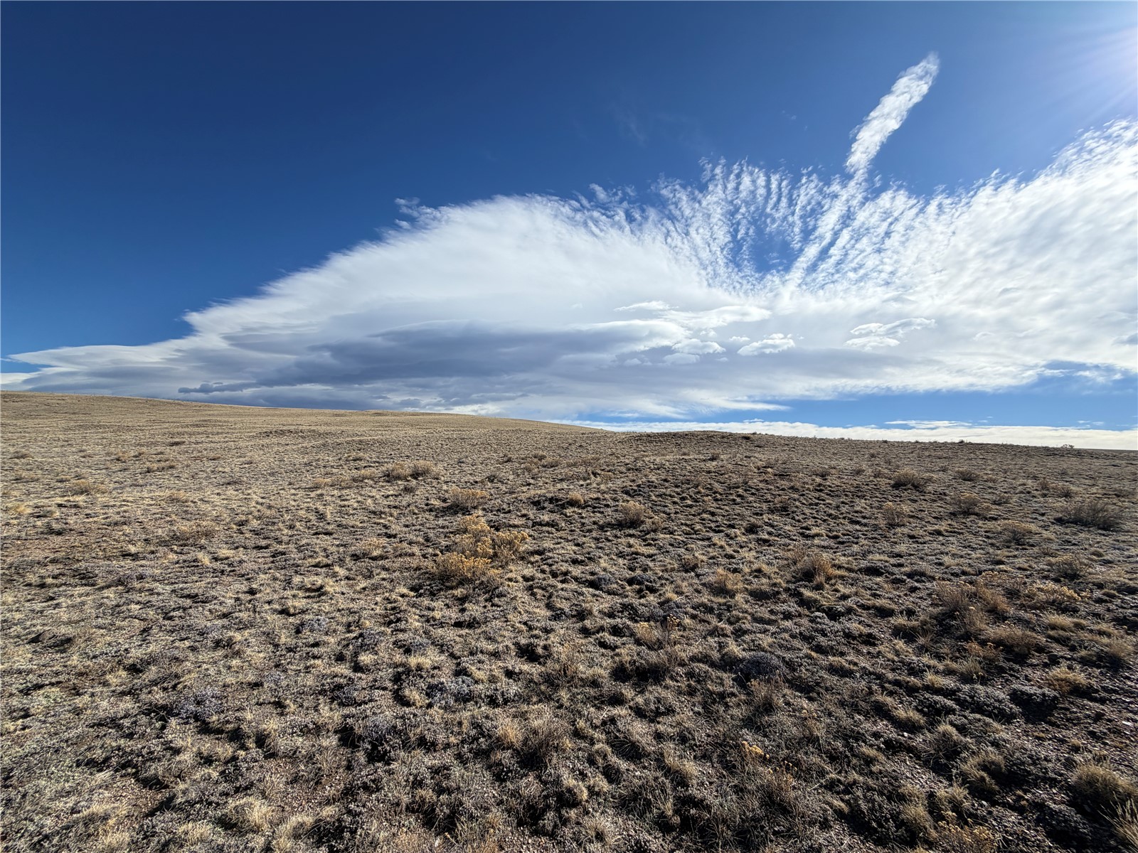 66 Wagon Wheel Road Hartsel, CO 80449 - Photo 9 of 17