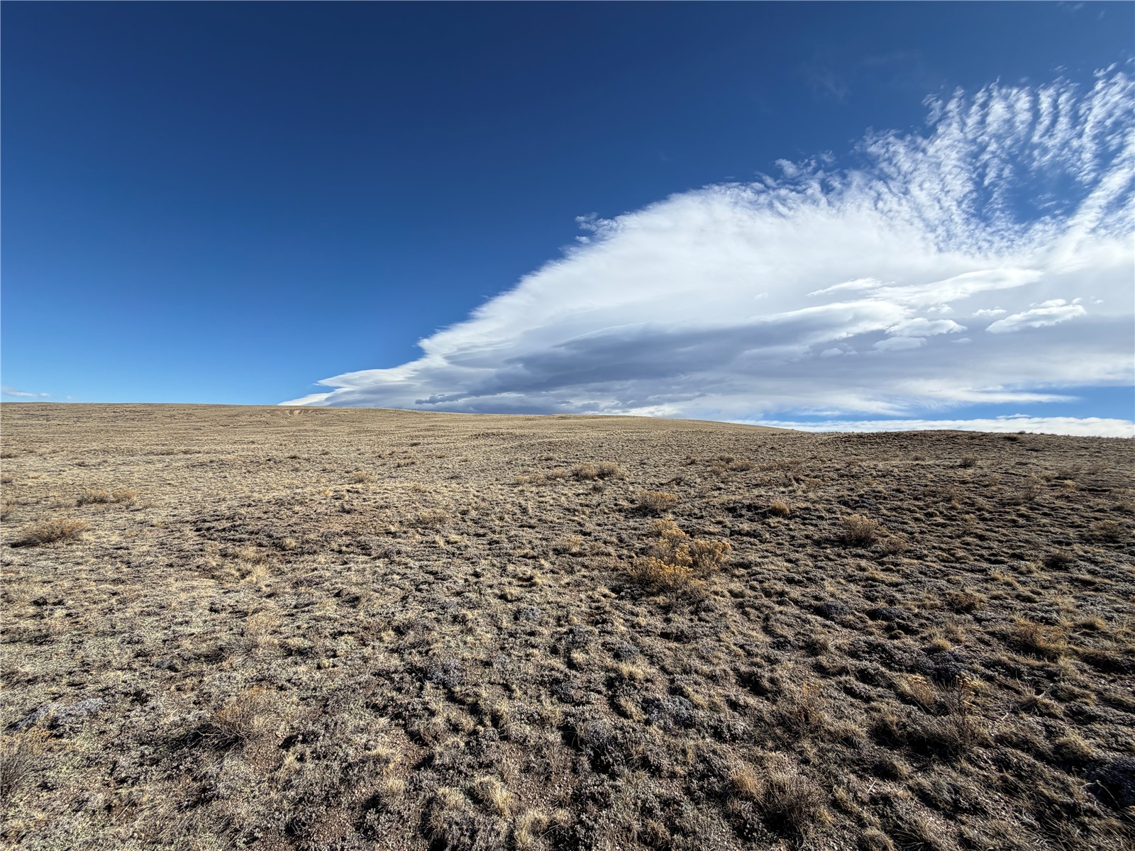 66 Wagon Wheel Road Hartsel, CO 80449 - Photo 10 of 17