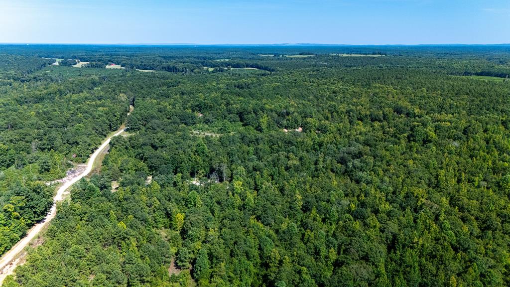 a view of a green field with lots of bushes