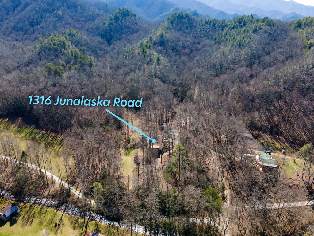 1316 Junaluska Road Andrews, NC 28901 - Photo 5 of 68 Front Yard and Front of the House