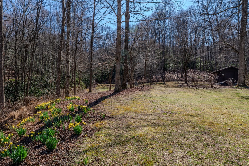 1316 Junaluska Road Andrews, NC 28901 - Photo 64 of 68 Drone Shot