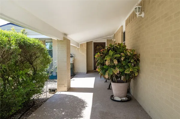 a potted plant sitting in front of a building