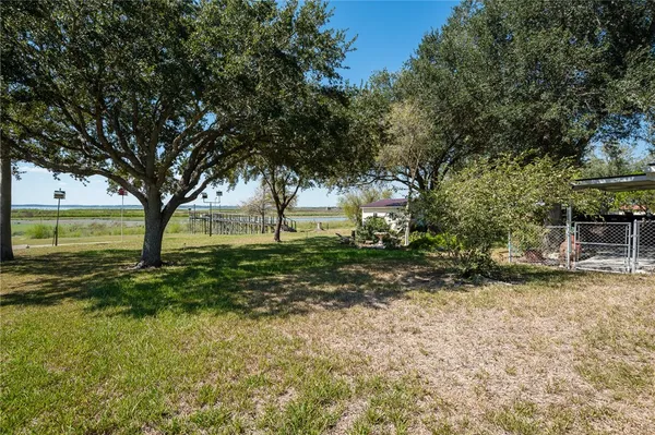 a view of a yard with a tree