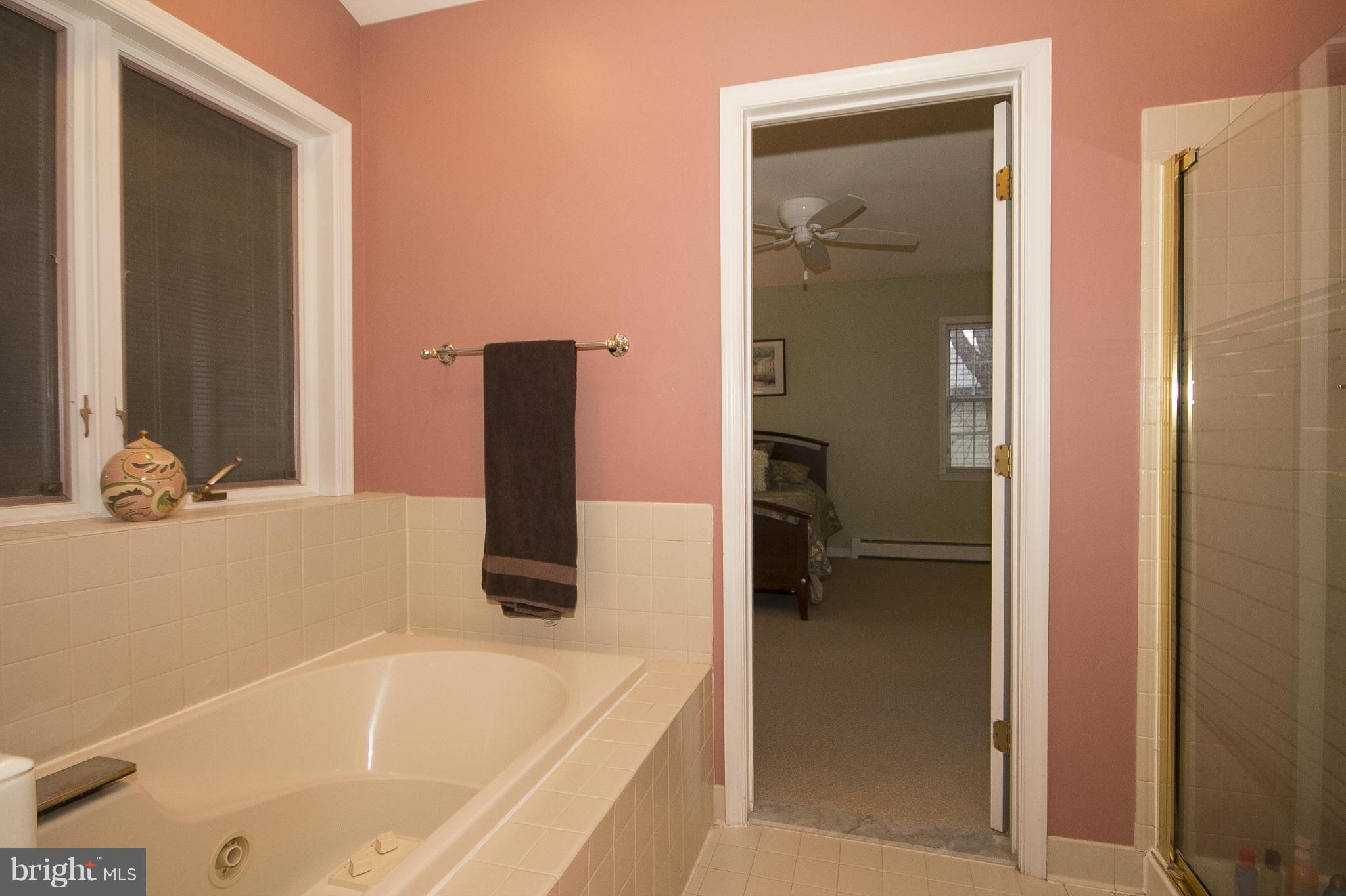 7104 Rich Hill Road Baltimore, MD 21212 - Photo 13 of 30 Jetted soaking tub!