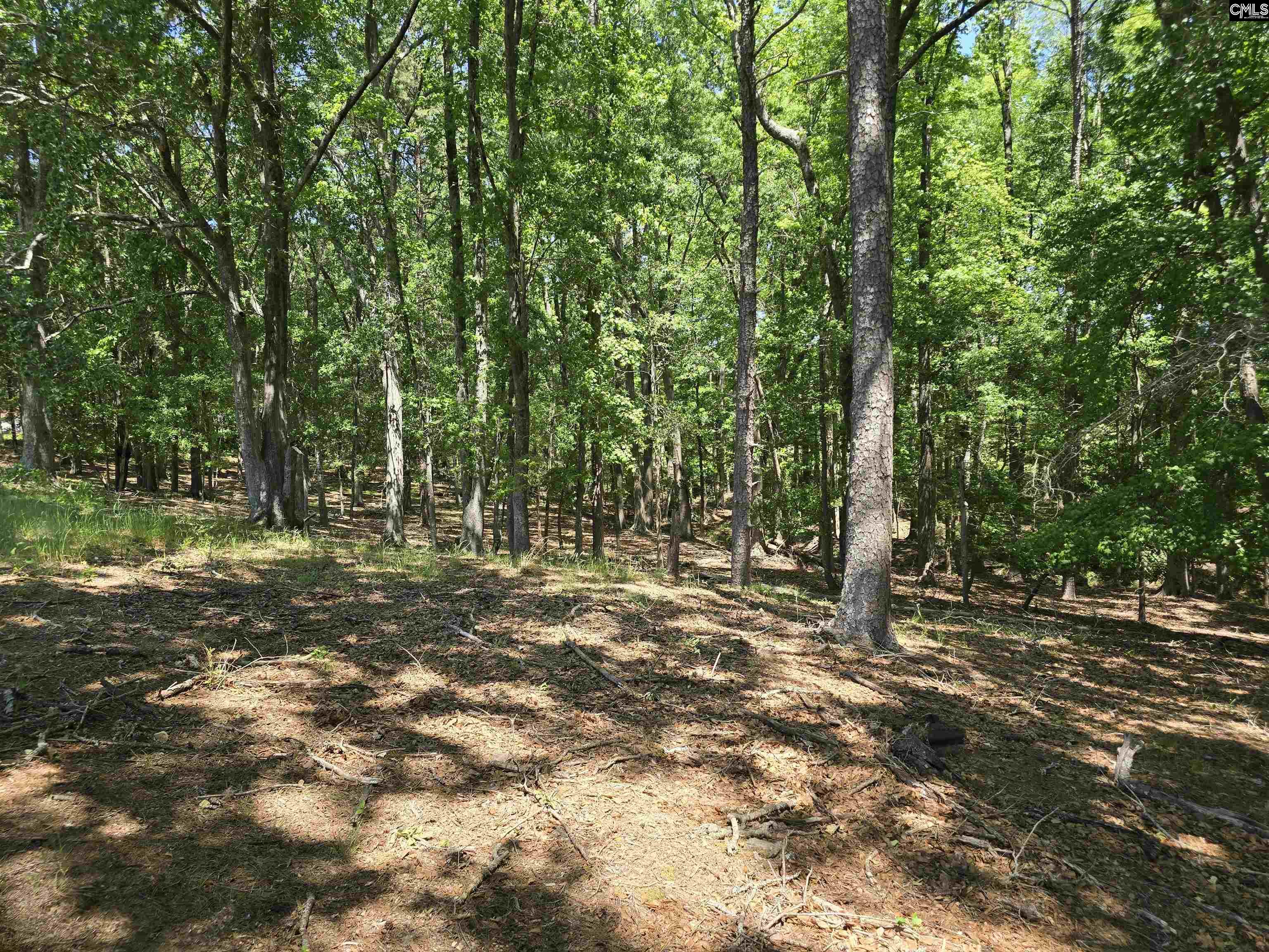 542 Pea Ridge Highway Jonesville, SC 29353 - Photo 55 of 72