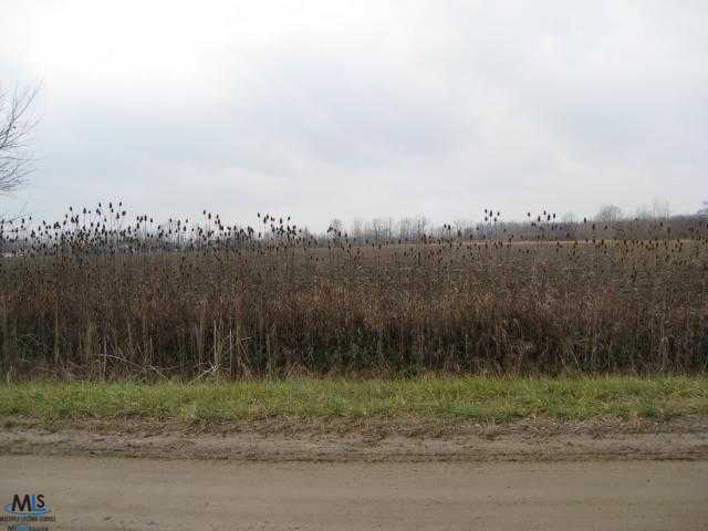0 Hartway Road Ray, MI 48096 - Photo 2 of 4 31123645-1.JPG