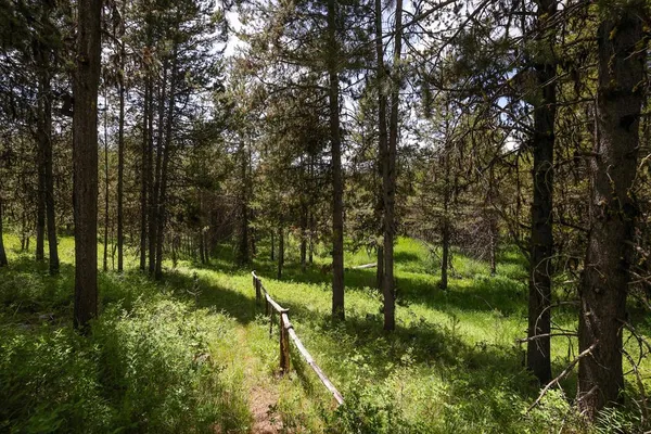 $940,000 | 97 Coy Road, McCall, ID 83638