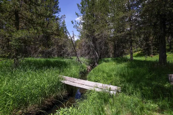 $940,000 | 97 Coy Road, McCall, ID 83638