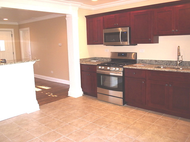 514 Amherst Avenue Romeoville, IL 60446 - Photo 4 of 20