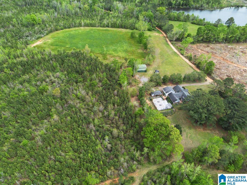 342 Mockingbird Road Greensboro, AL 36744 - Photo 55 of 60