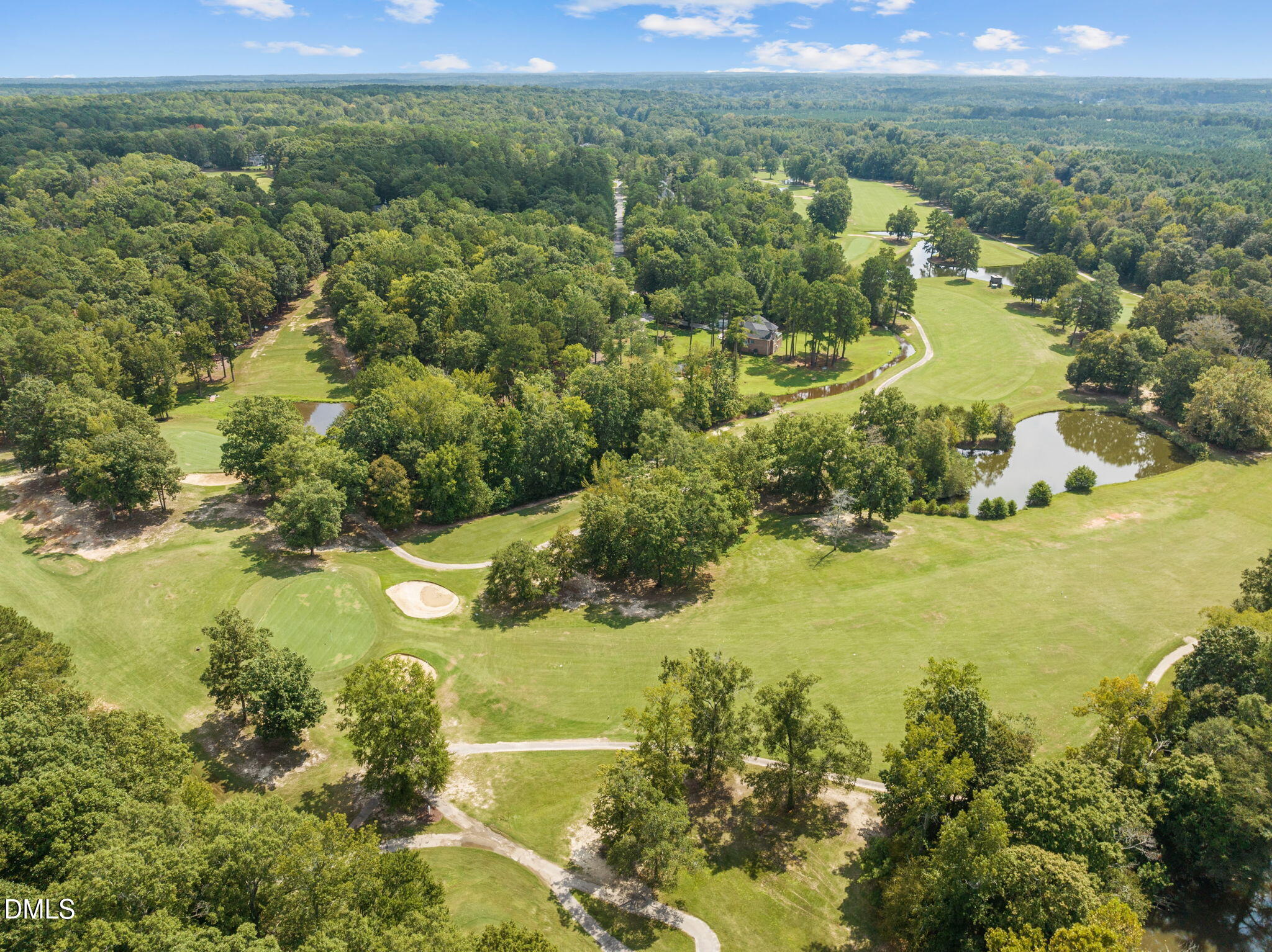 135 Shaman Drive Spring Hope, NC 27882 - Photo 17 of 20 22-web-or-mls-11-print-DJI_0910