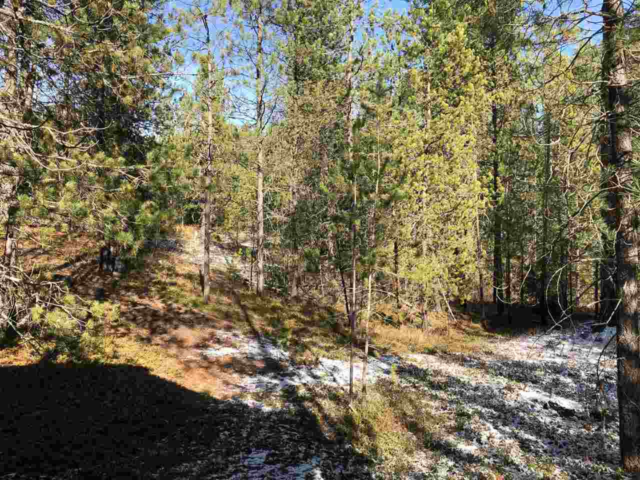 1776 Pines Road Newport, WA 99156 - Photo 14 of 15