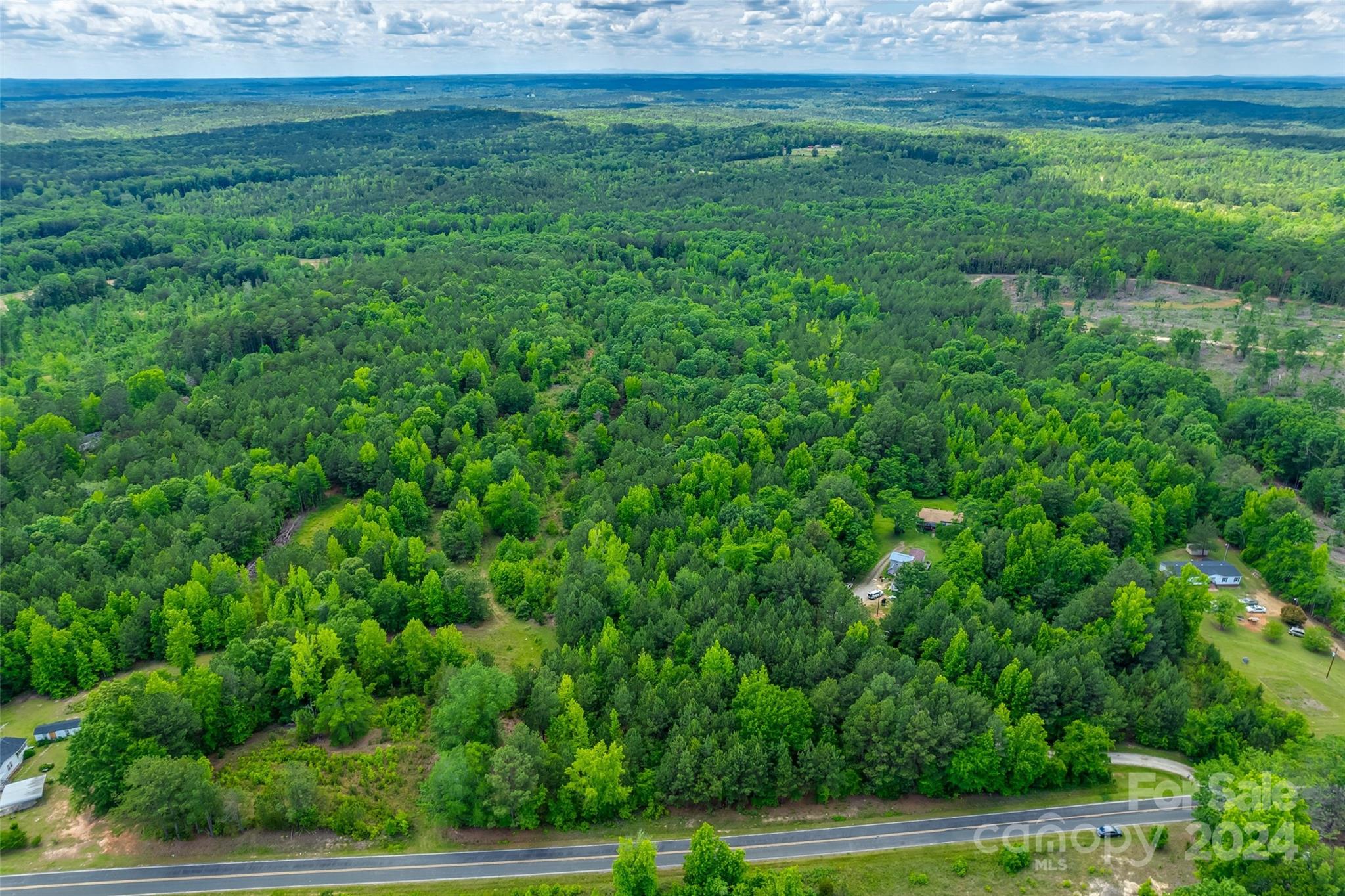0 Woods Ferry Road Carlisle, SC 29031 - Photo 3 of 10