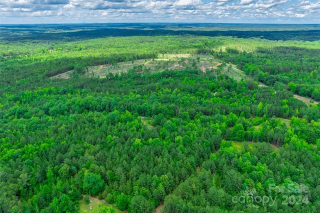 $125,000 | 0 Woods Ferry Road, Carlisle, SC 29031