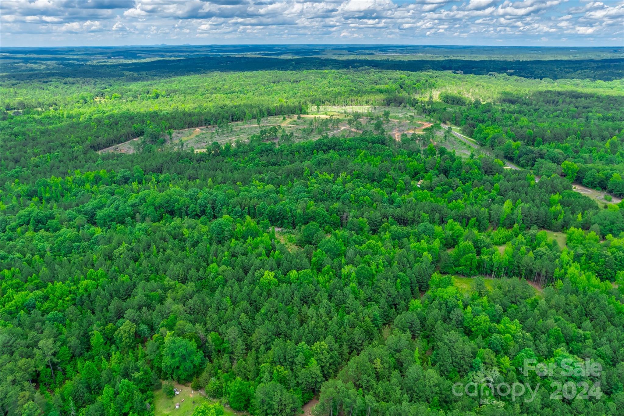 0 Woods Ferry Road Carlisle, SC 29031 - Photo 5 of 10