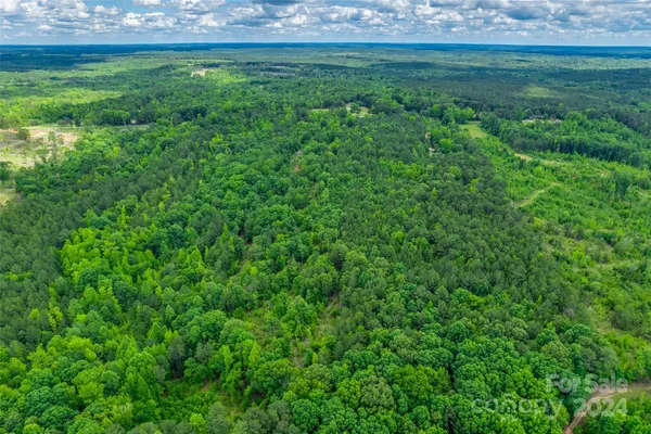 $125,000 | 0 Woods Ferry Road, Carlisle, SC 29031