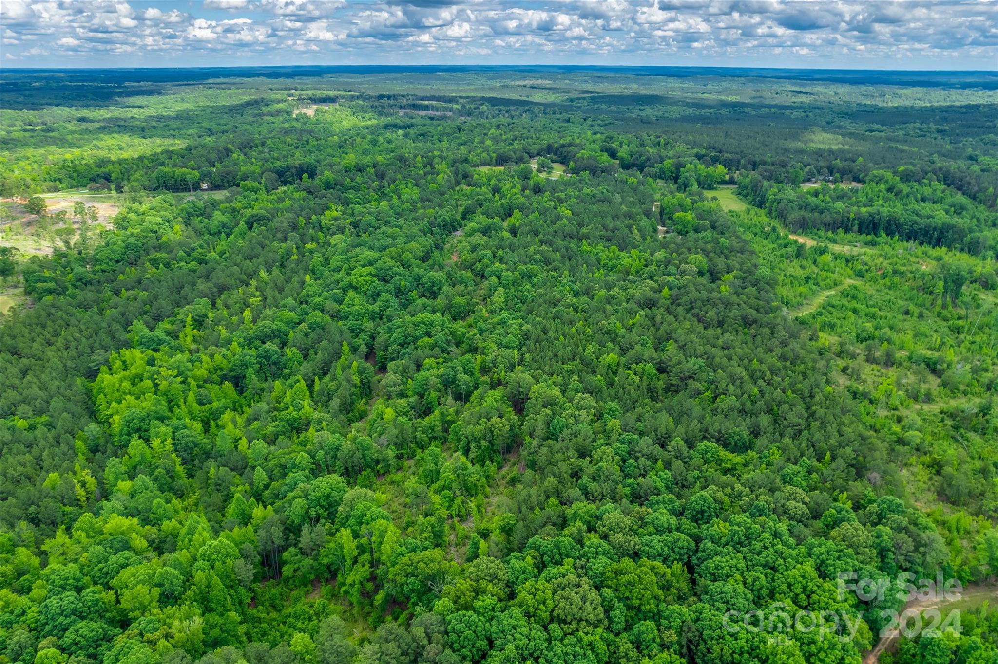 0 Woods Ferry Road Carlisle, SC 29031 - Photo 6 of 10