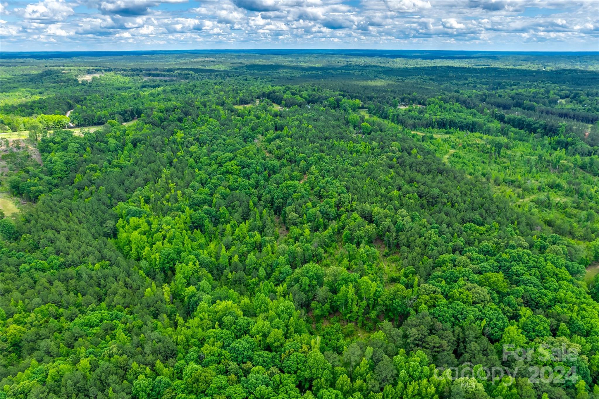 0 Woods Ferry Road Carlisle, SC 29031 - Photo 7 of 10