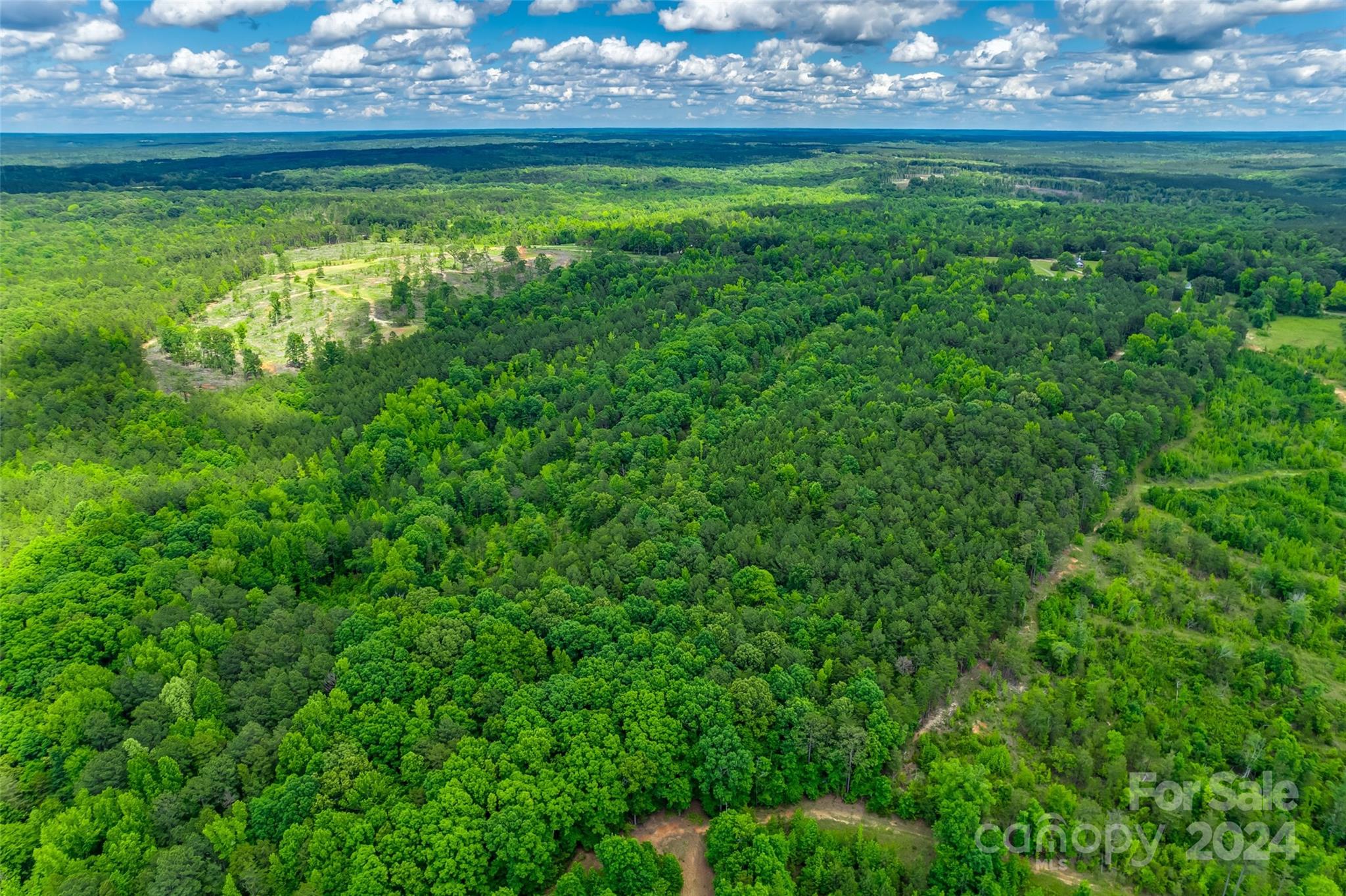 0 Woods Ferry Road Carlisle, SC 29031 - Photo 8 of 10