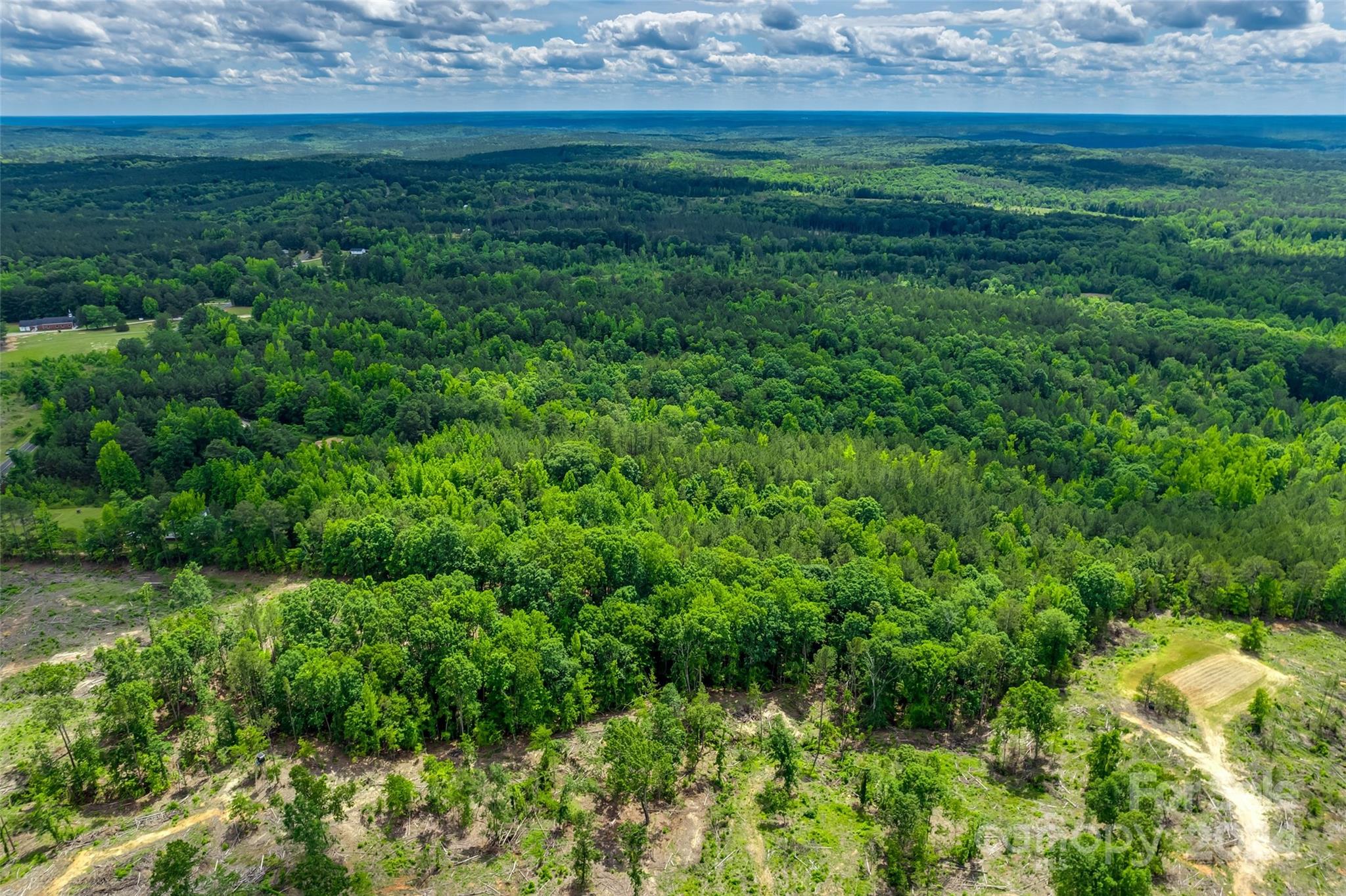 0 Woods Ferry Road Carlisle, SC 29031 - Photo 9 of 10