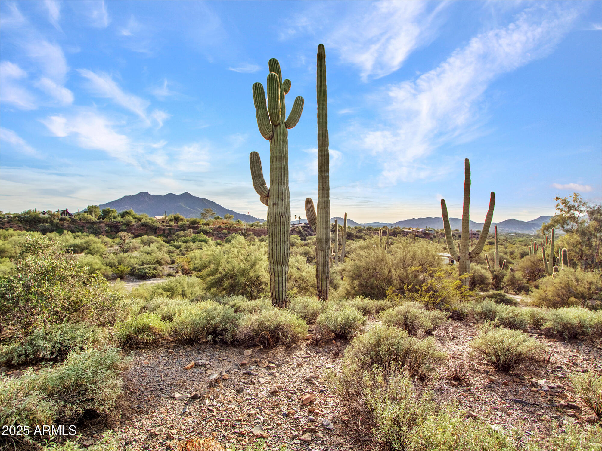 7143 East Highland Road Cave Creek, AZ 85331 - Photo 45 of 99 07-Backyard-(4)