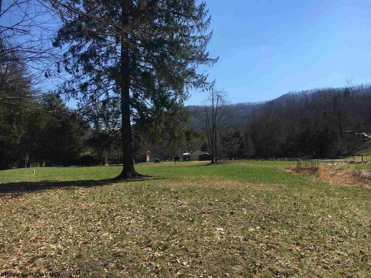 Tbd Horseshoe Run Road Parsons, WV 26287 - Photo 5 of 6 Gallery Image 5