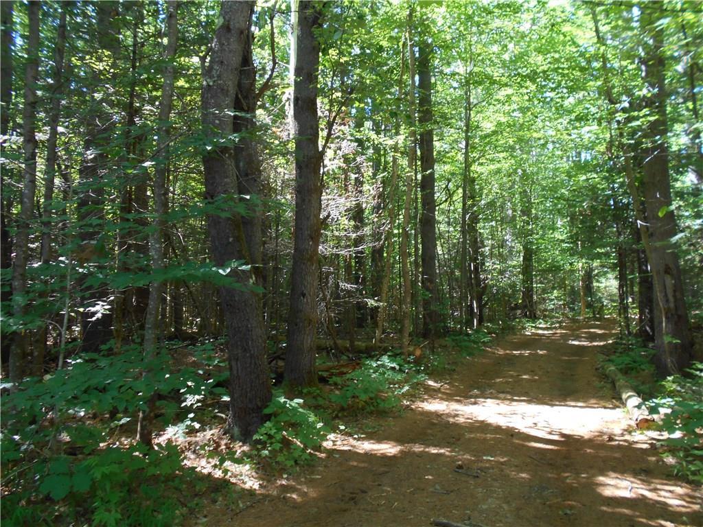 Tbd Sandy River Road New Sharon, ME 04955 - Photo 5 of 10 R.O.W.