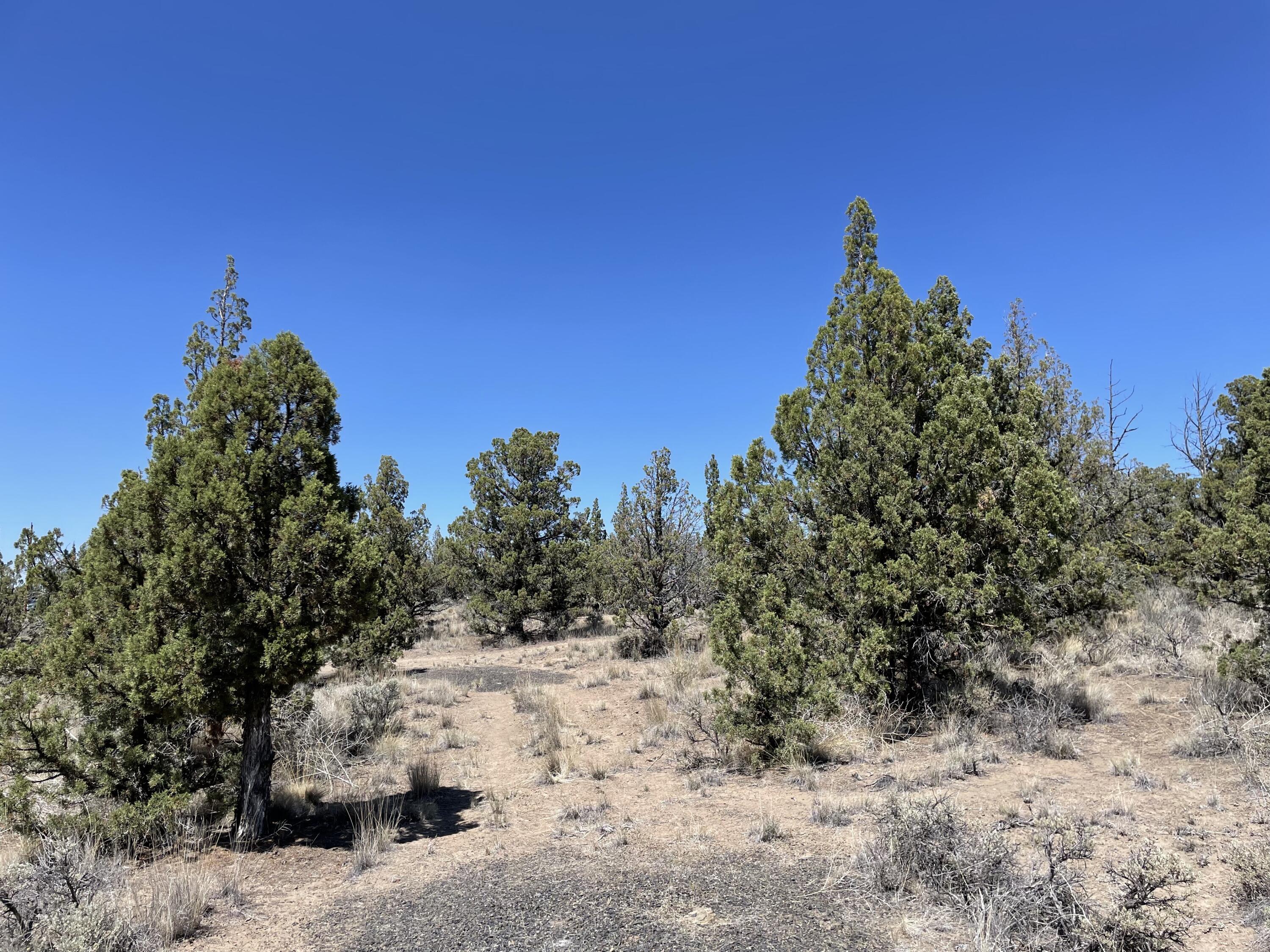 16520 Southeast Pecos Road, Unit TL 6600 Prineville, OR 97754 - Photo 5 of 8 Community Water can be hauled in.
