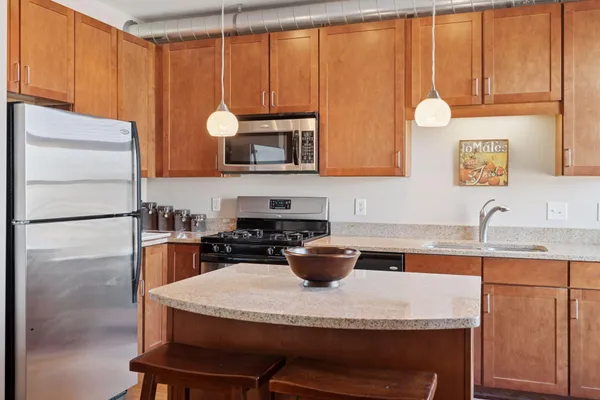 $1,550 | 15 East Franklin Avenue, Unit 322, Minneapolis, MN 55404