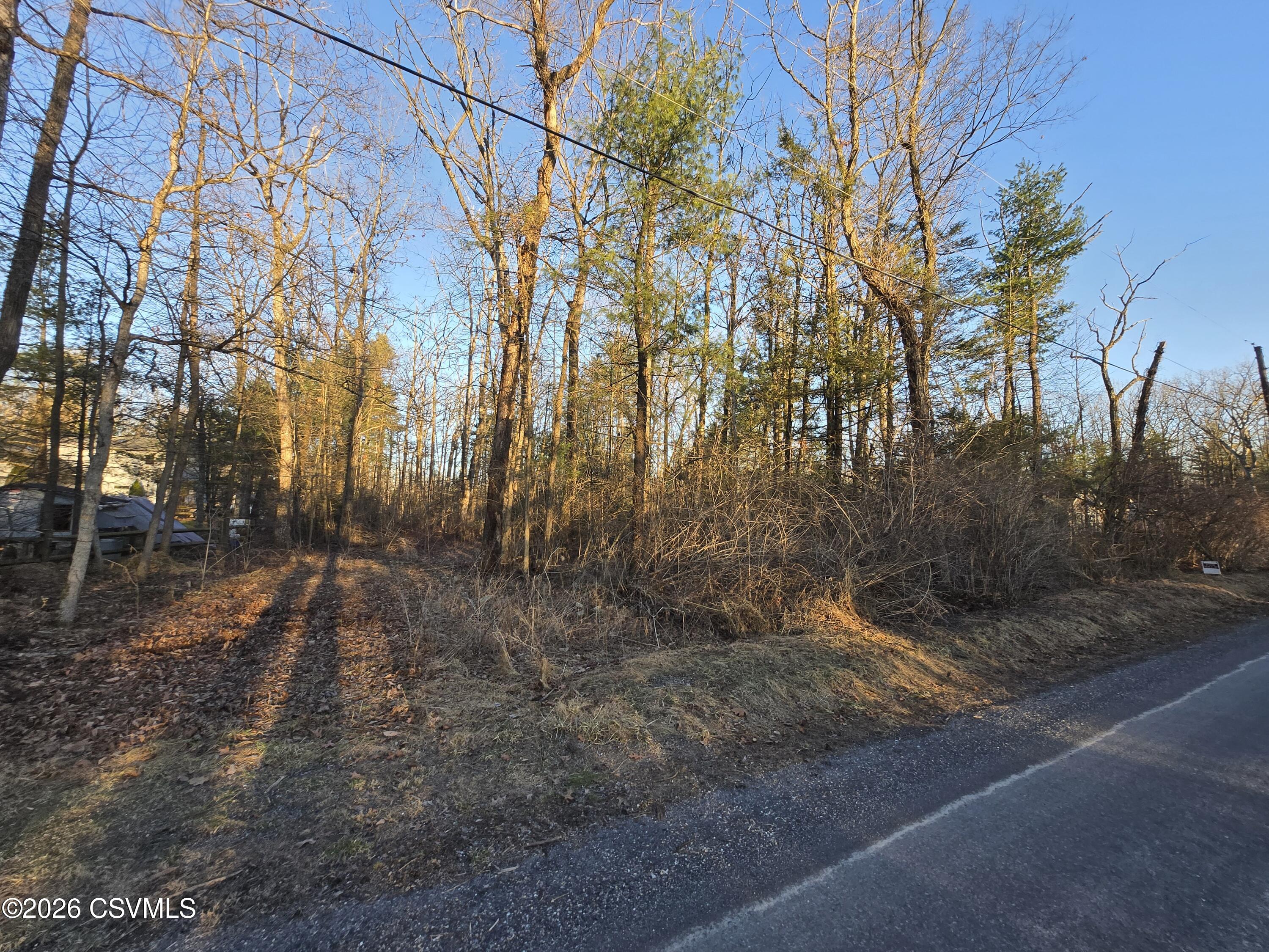 Lot 2 Diehl Road Mifflinburg, PA 17844 - Photo 5 of 9