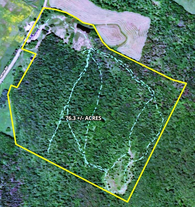 490 Orton Road Walden, VT 05836 - Photo 3 of 40
