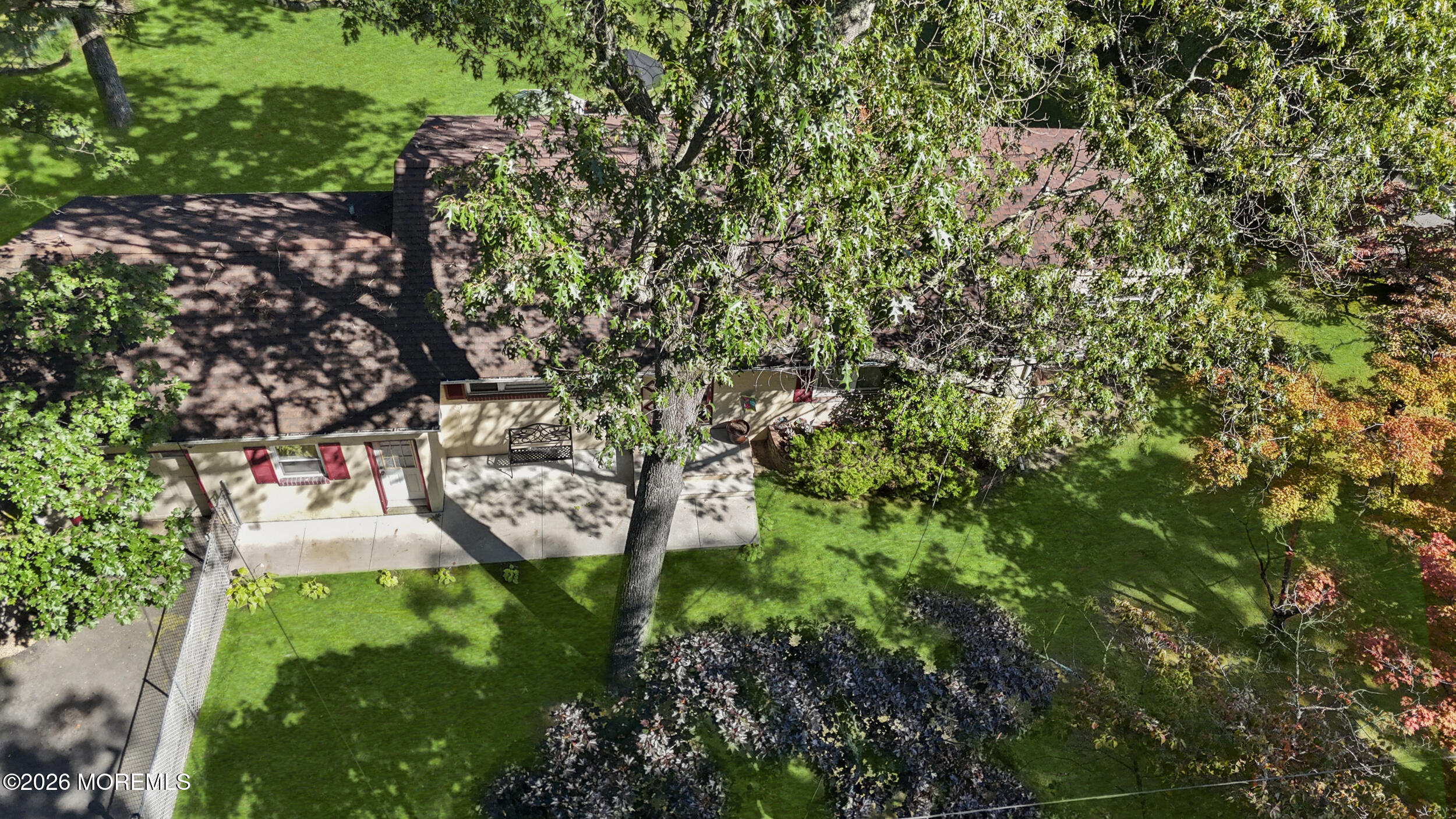 313 Miller Road Lakewood, NJ 08701 - Photo 23 of 30 a picture of trees with plants