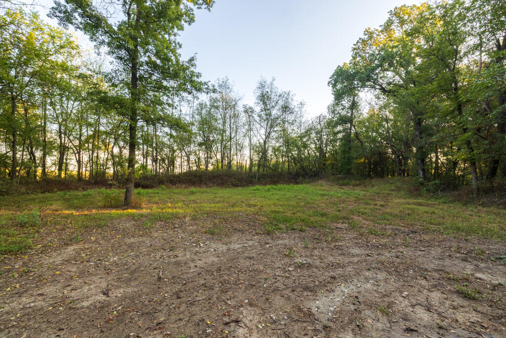 2395 Southwest County Road Hume, MO 64752 - Photo 77 of 81 Bates 50 (MLS)-5282