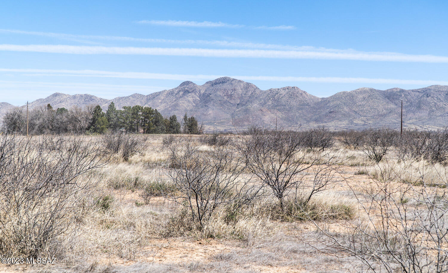 4-acres South Collins Farm Road Willcox, AZ 85643 - Photo 2 of 18 Gallery Image 2