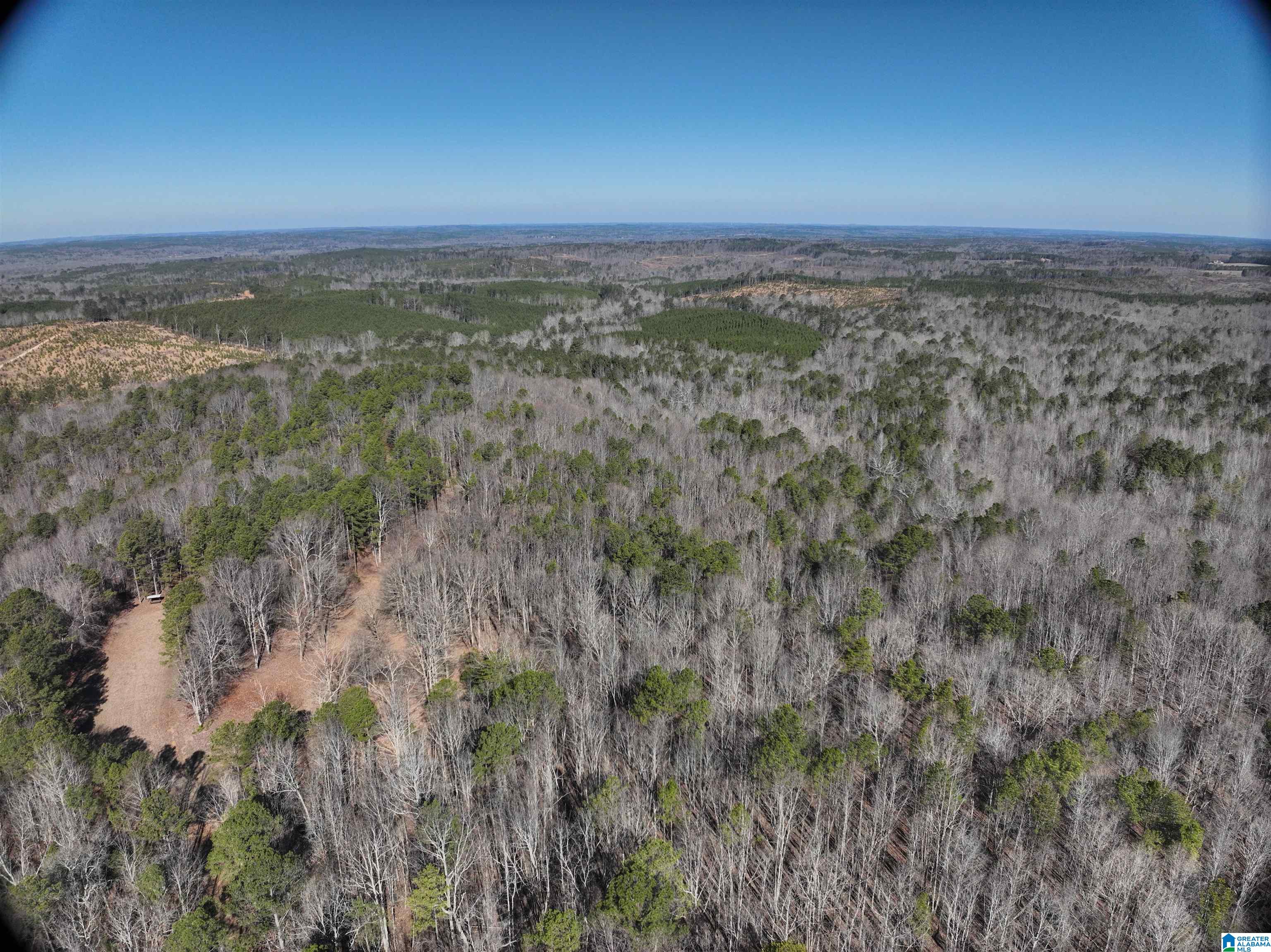 6171 Highway 102, Unit 1 Fayette, AL 35555 - Photo 21 of 68