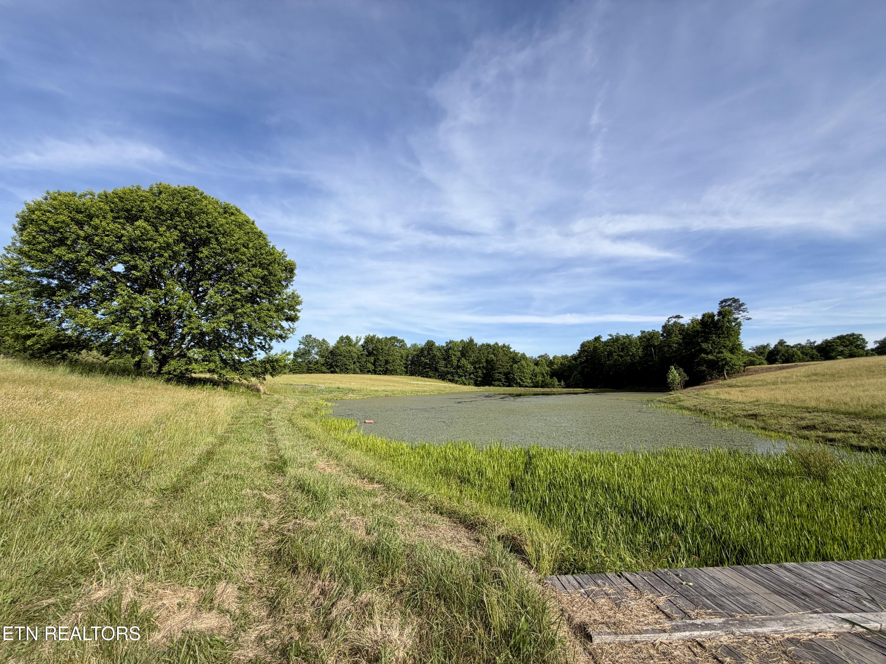1770 Buffalo Road Oneida, TN 37841 - Photo 50 of 57 65