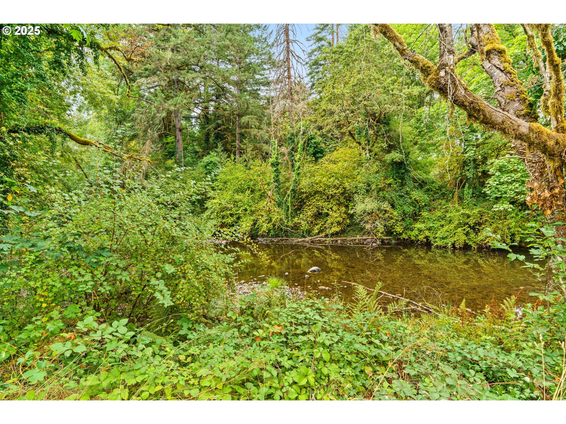92968 Paschelke Road Marcola, OR 97454 - Photo 14 of 41 Gallery Image 14