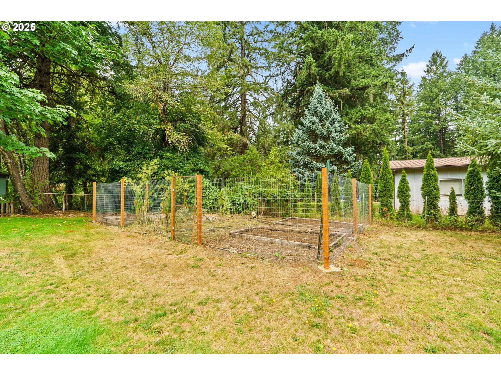 92968 Paschelke Road Marcola, OR 97454 - Photo 9 of 41 Gallery Image 9