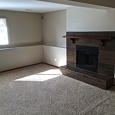 162 Timberlane Road Matteson, IL 60443 - Photo 12 of 22