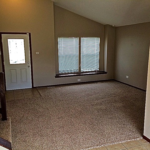 162 Timberlane Road Matteson, IL 60443 - Photo 6 of 22