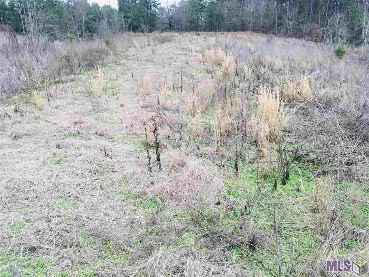 0 Nebo Road Gloster, MS 39638 - Photo 11 of 17