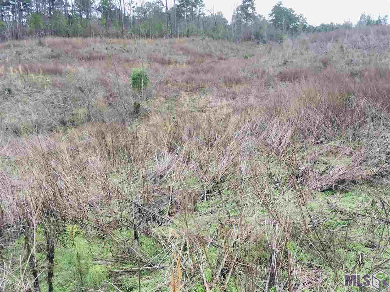 0 Nebo Road Gloster, MS 39638 - Photo 12 of 17