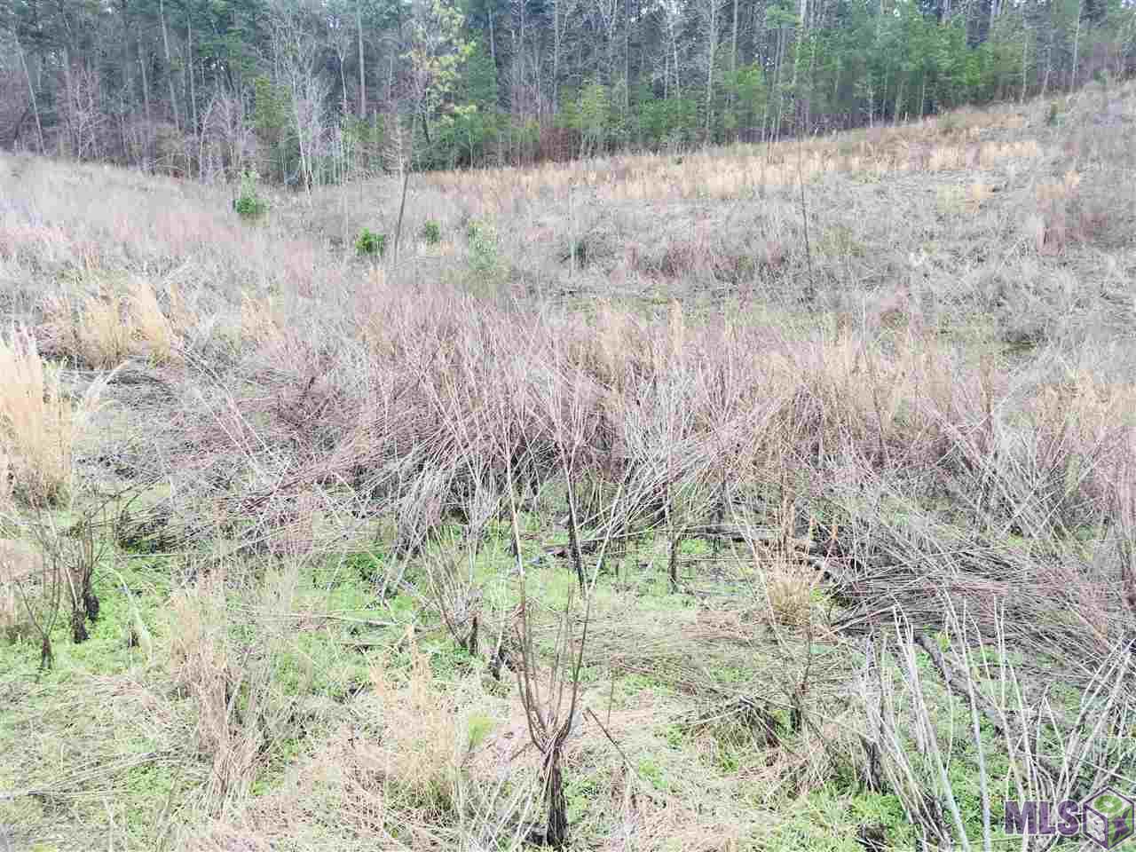 0 Nebo Road Gloster, MS 39638 - Photo 13 of 17