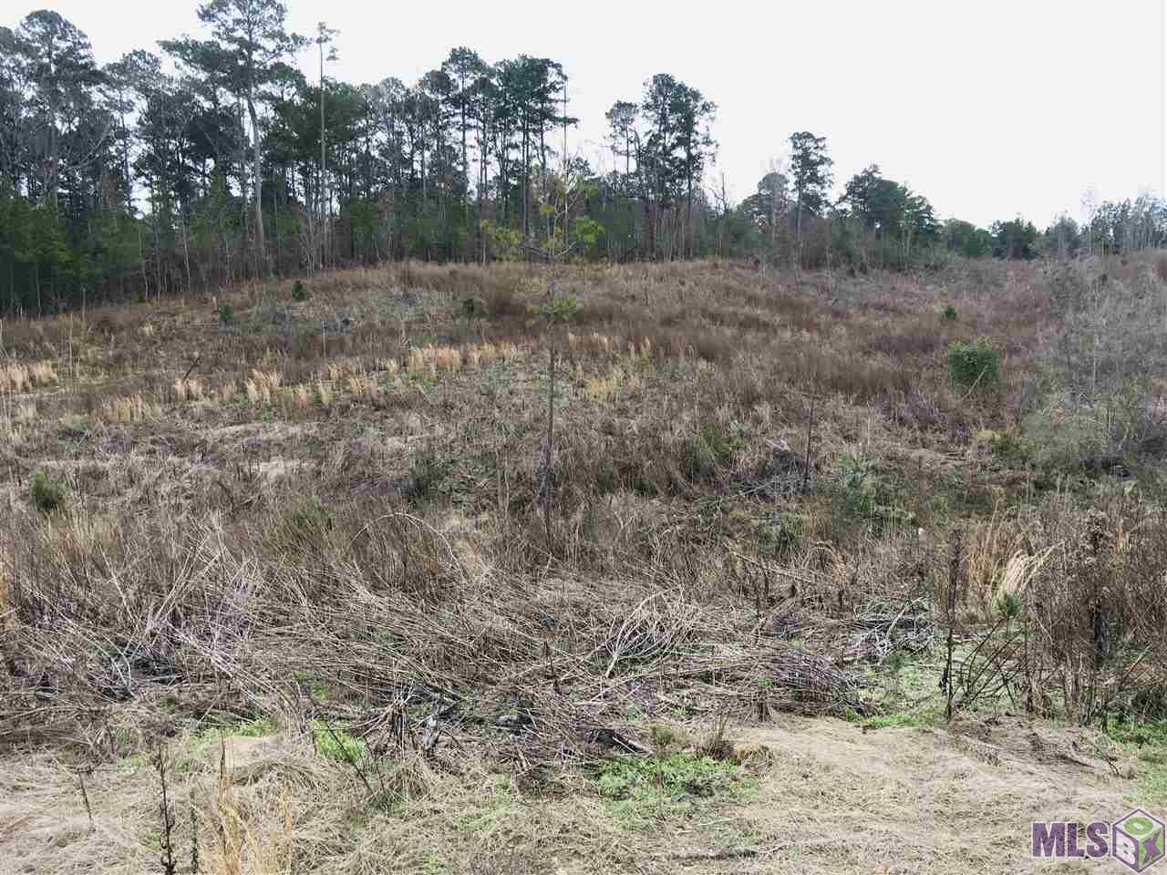 0 Nebo Road Gloster, MS 39638 - Photo 14 of 17