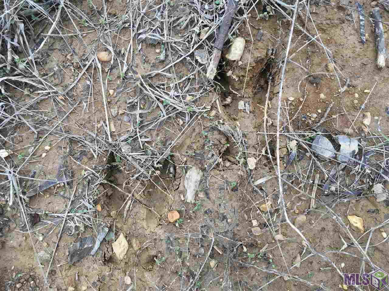 0 Nebo Road Gloster, MS 39638 - Photo 16 of 17