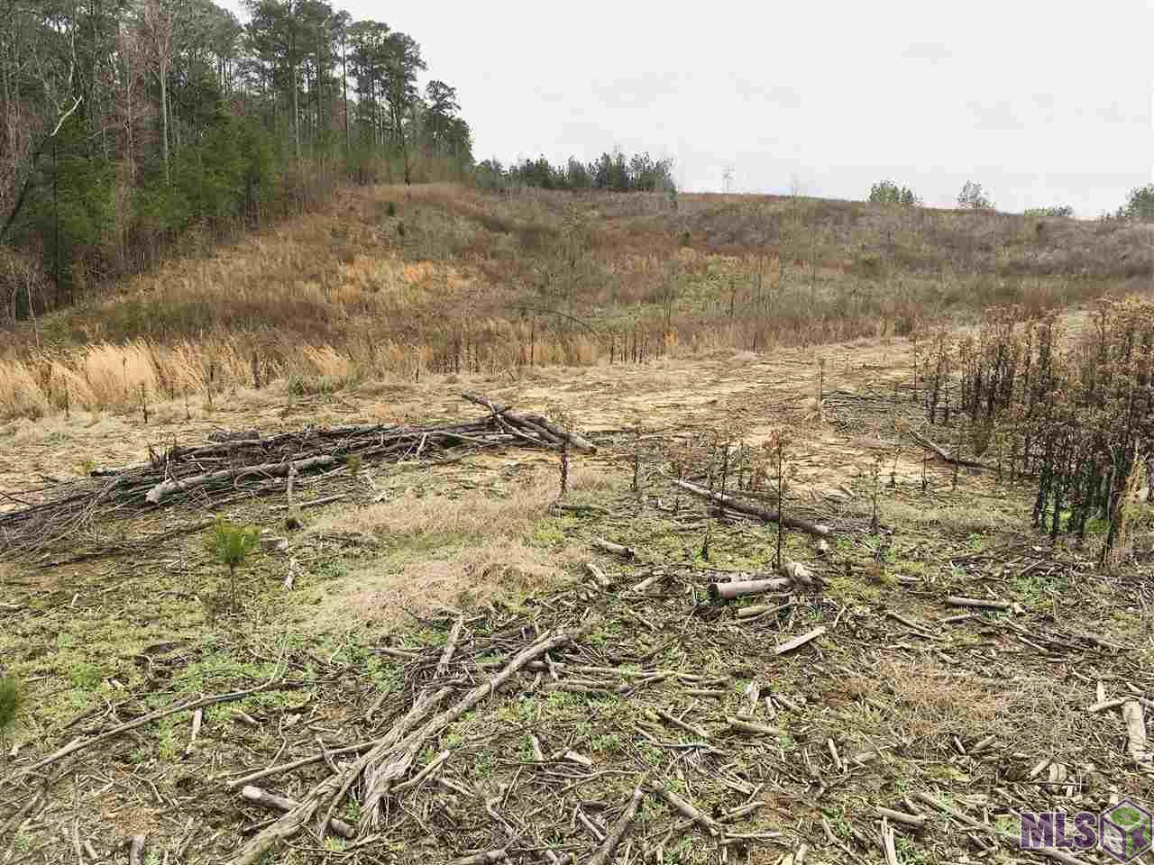 0 Nebo Road Gloster, MS 39638 - Photo 3 of 17